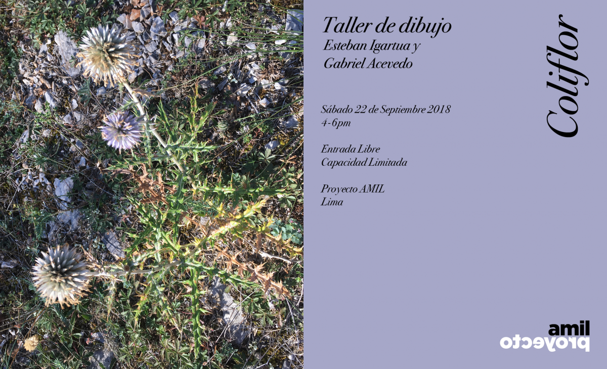 Taller de dibujo2_0