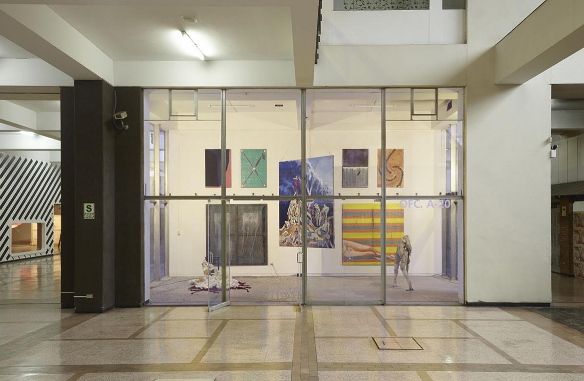 amil_intervenciones_12_01