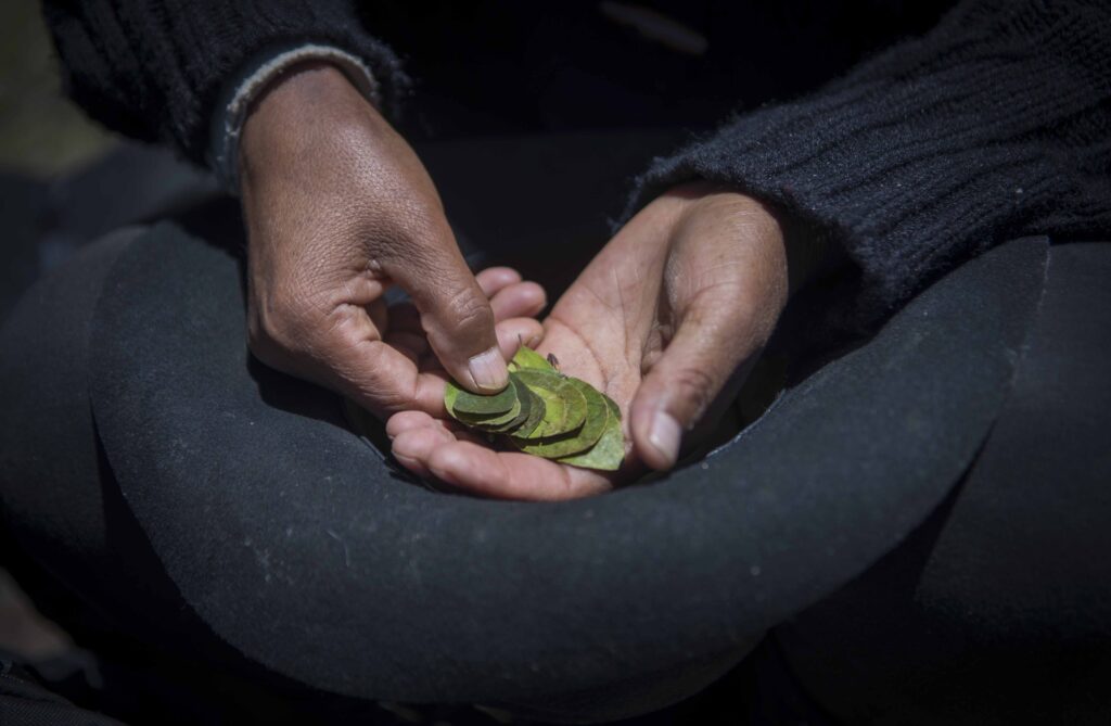 CONCURSO BUENAS PRÁCTICAS, MINAM

"Siembra y cosecha de agua de lluvia frente a la reducción de humedad del suelo y de la recarga hídrica de acuíferos en cabecera de cuencas"

Pago u ofrenda a la tierra para pedirle permiso y criar  agua en una laguna de lluvia.

Asociación Bartolome Aripaylla (ABA) Comunidad campesina de Quispillaccta, Union Potrero, Ayacucho, Perú