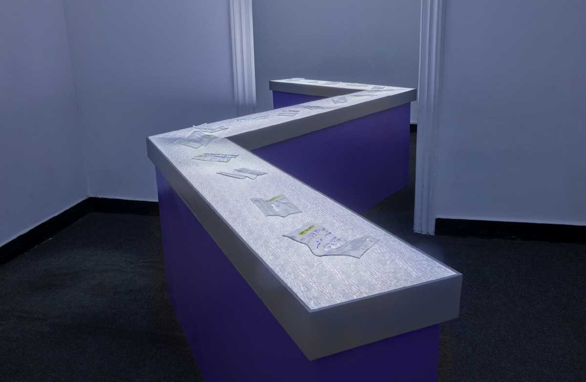jcd, expo web 6