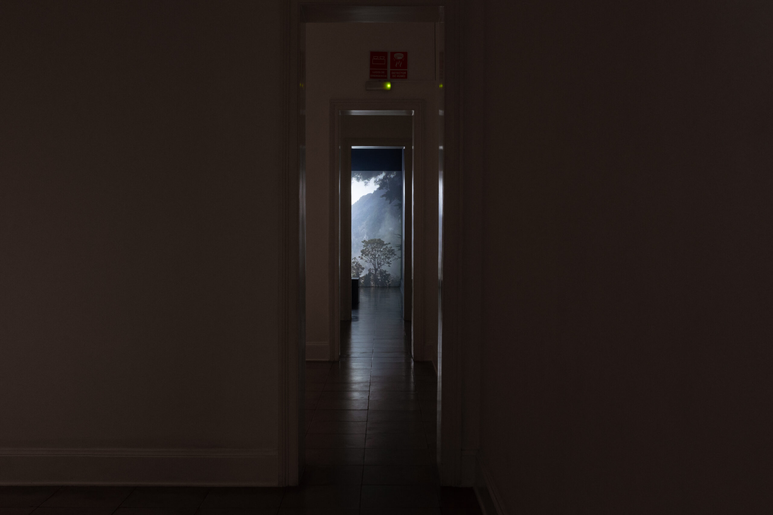 Amil_Luz_Maria_0031