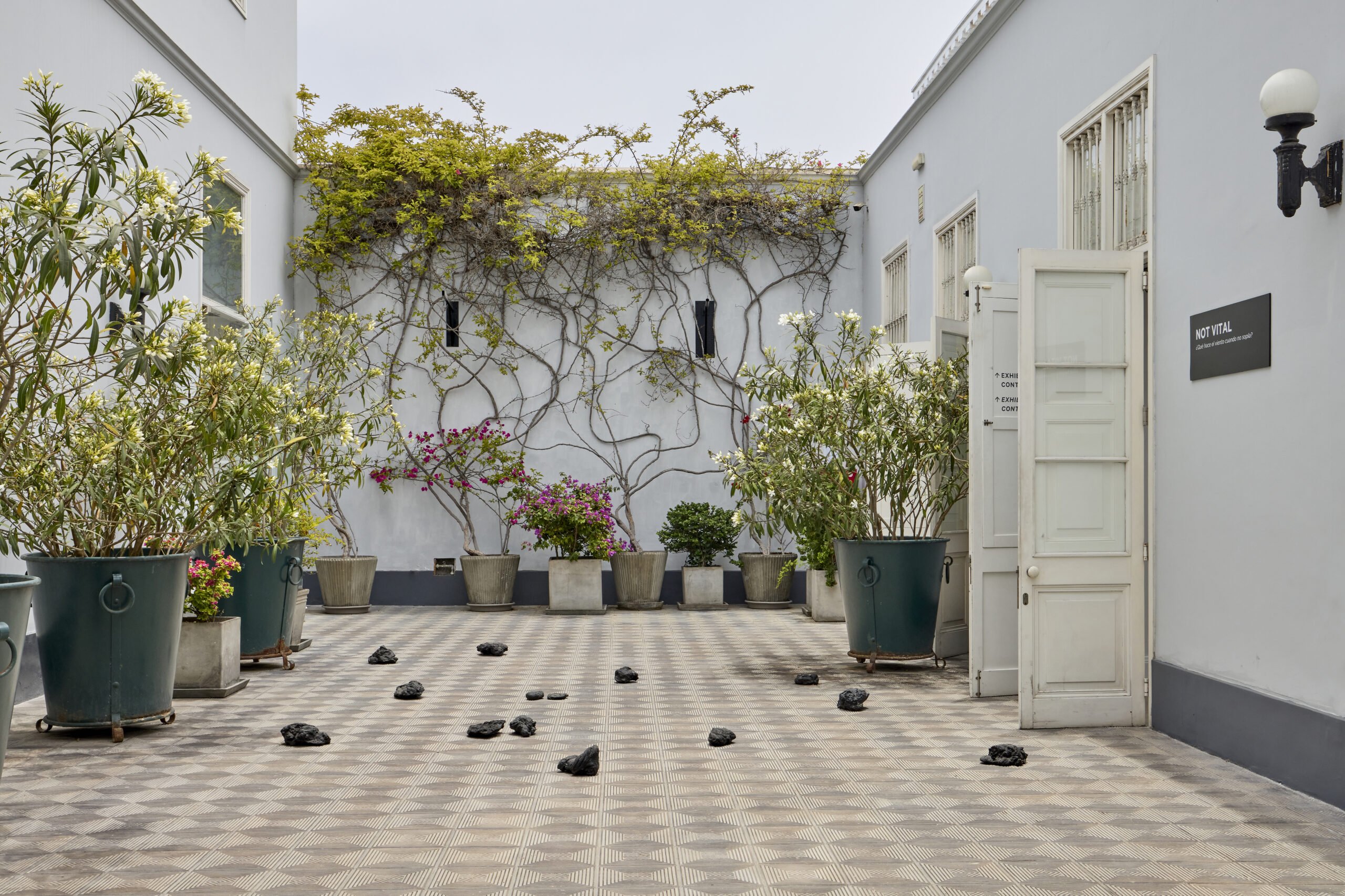 Copy of notvital_2511_amil_82