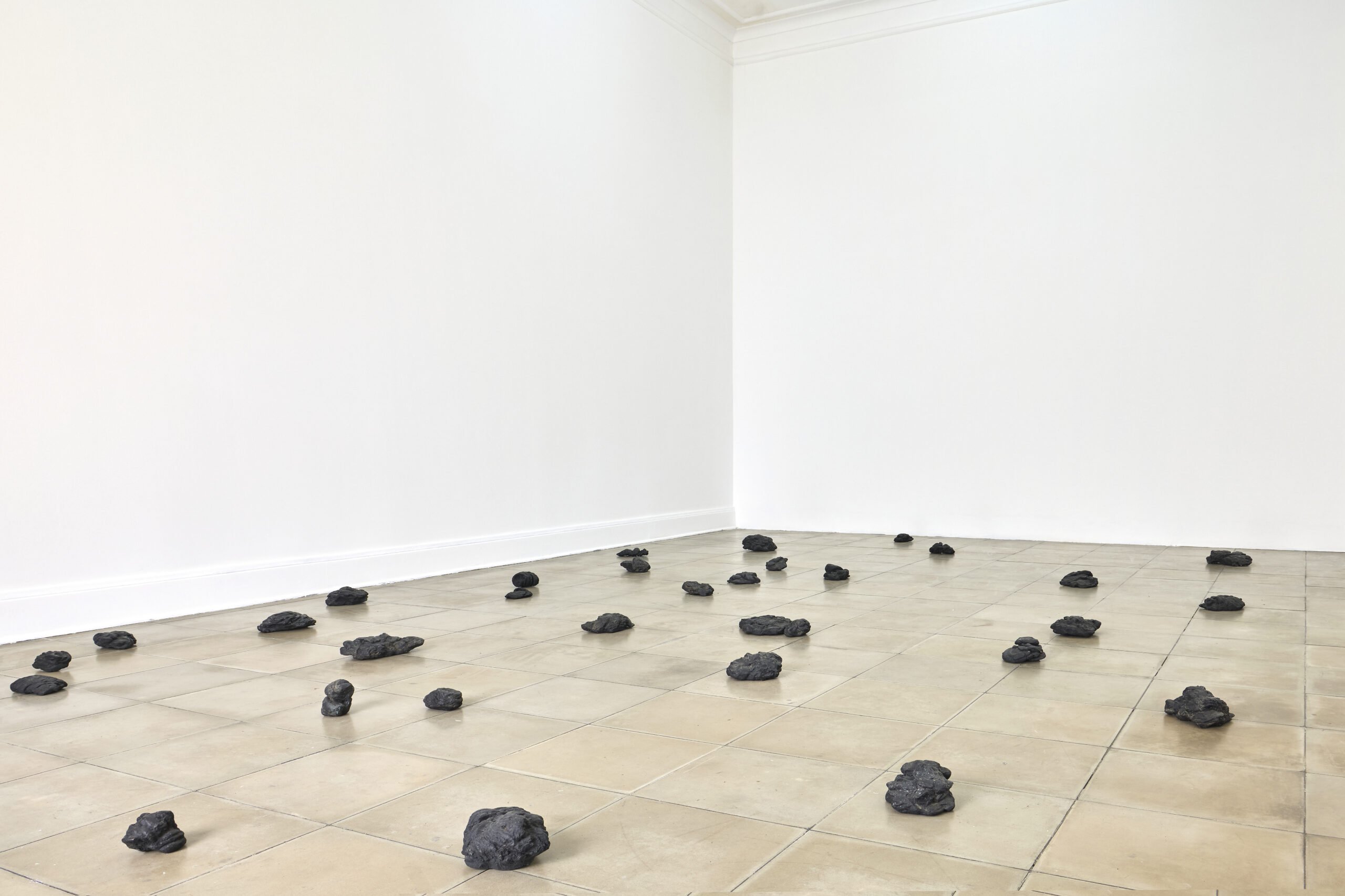 Copy of notvital_2511_amil_93