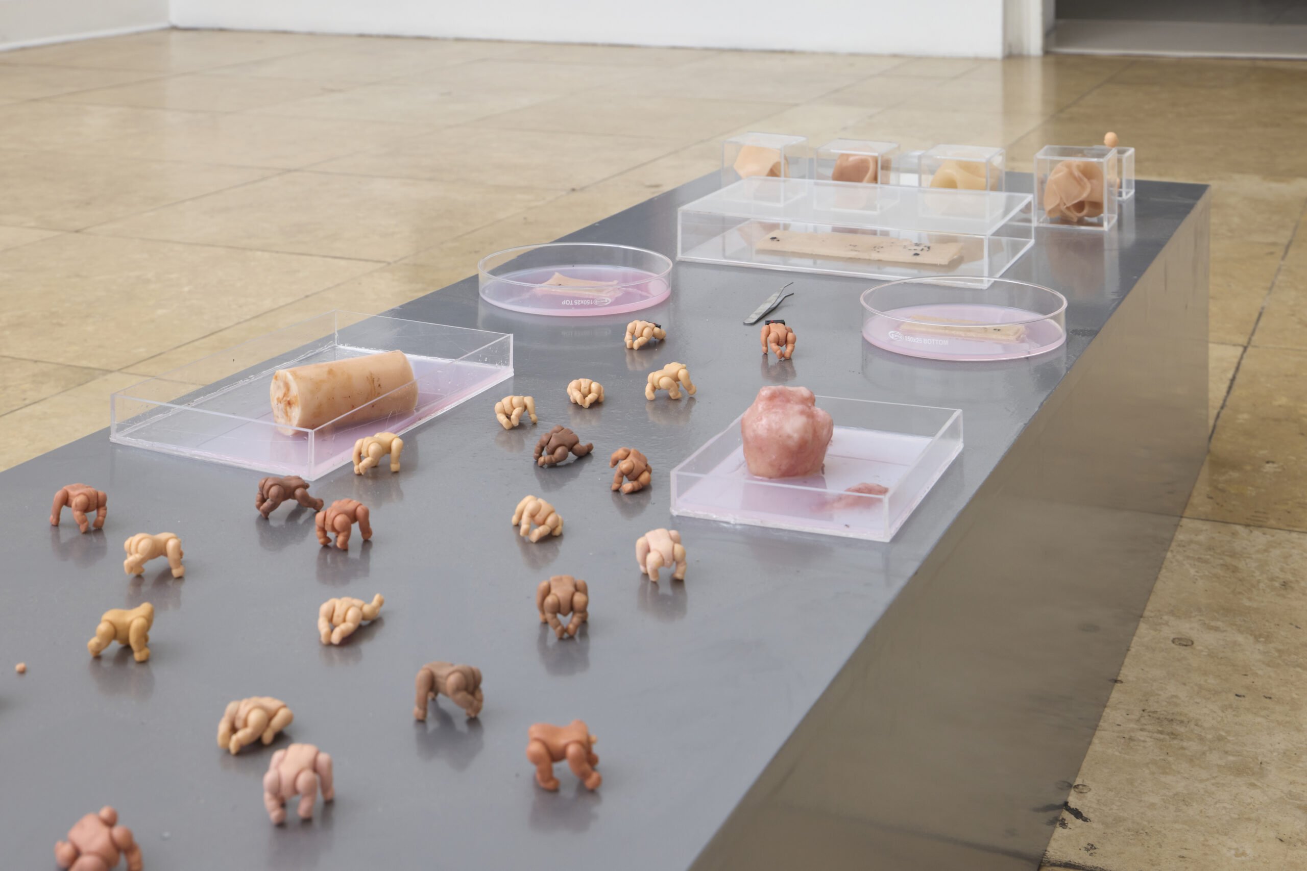 amil_2603_haciendocontexto9_75