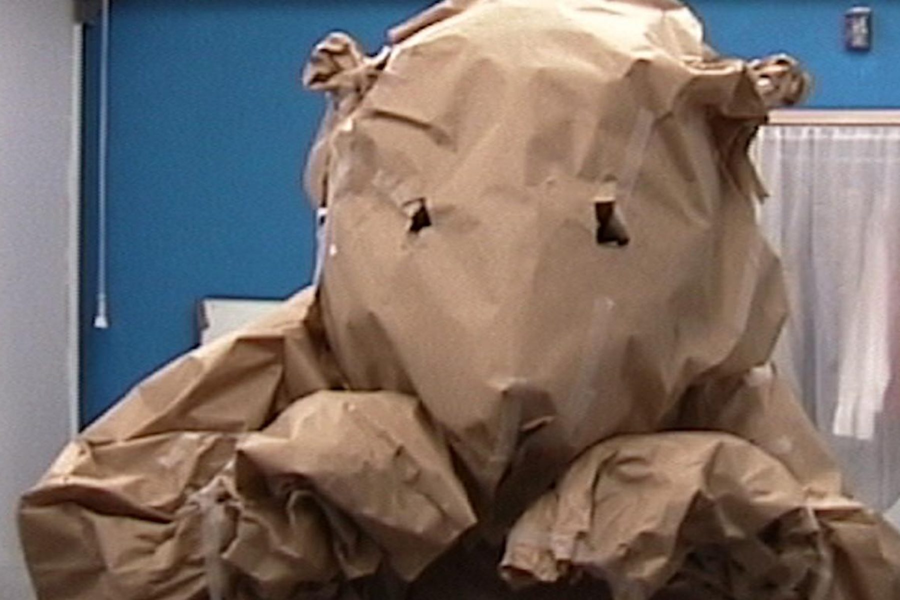 2001 Paper animal 2