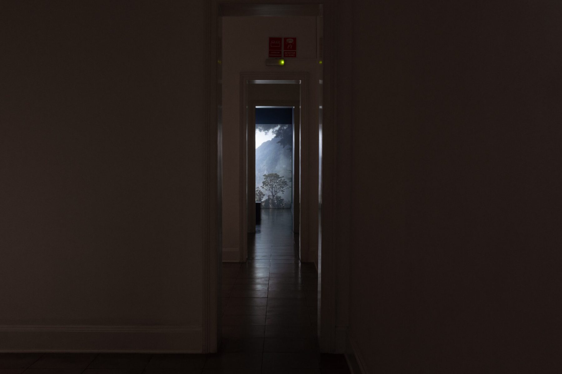 Amil_Luz_Maria_0031