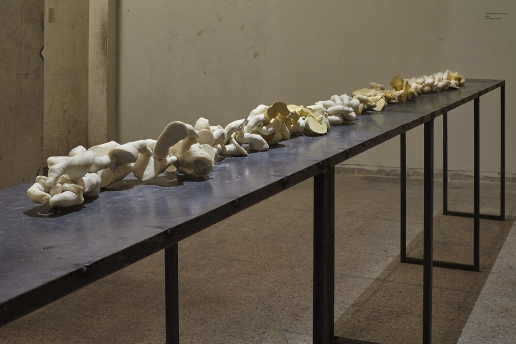 amil_argote_obra_0034 copy