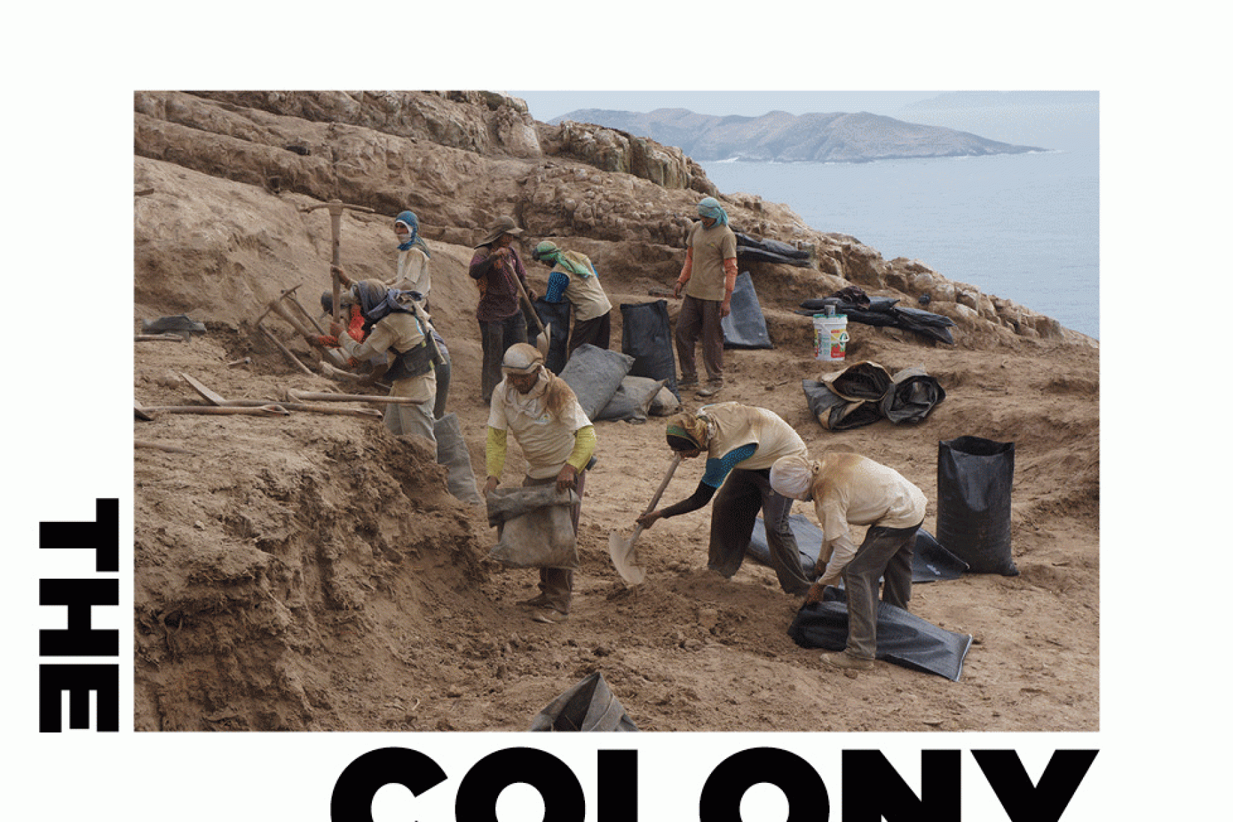 colony-loop-sin