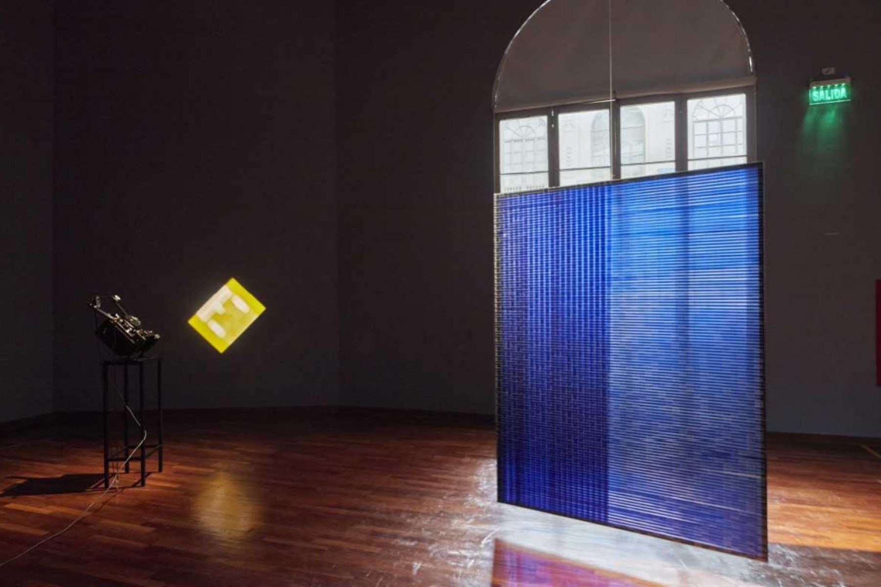 rosa barba_exhibition