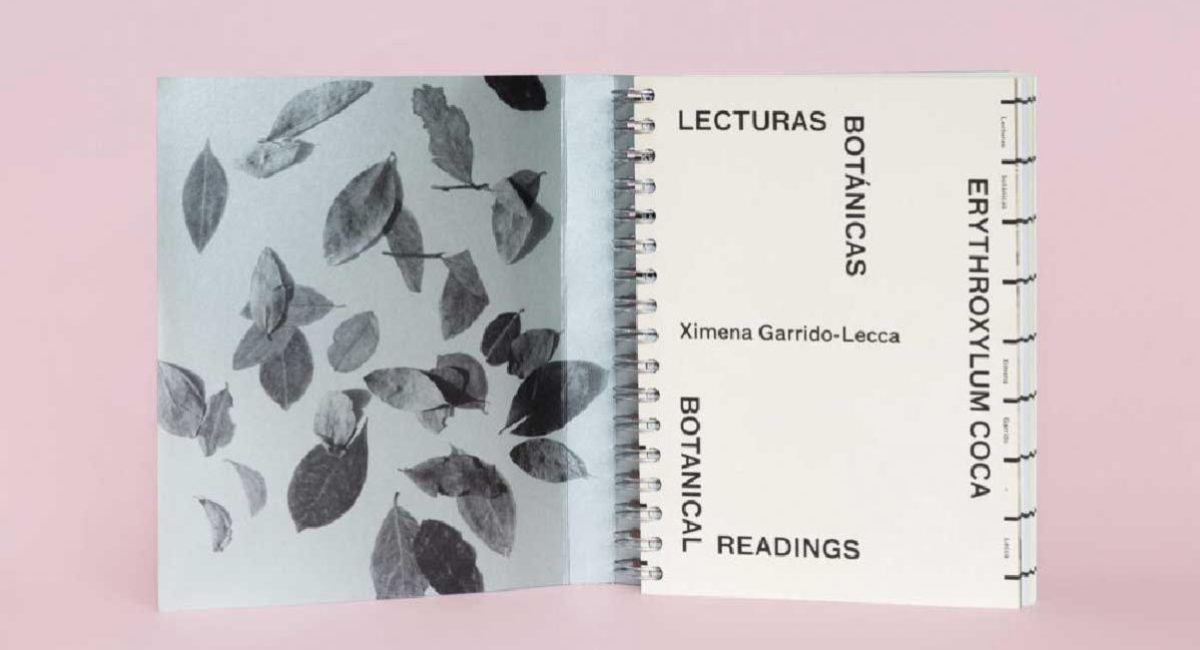 xgl, edition image